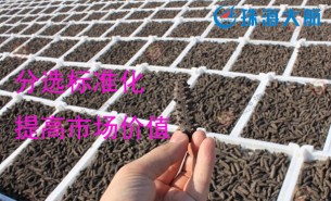 大家都用重量分揀機分選海參了！您還在用人工分選嗎？