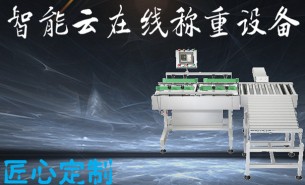 五金件自動(dòng)稱重秤哪家好？