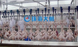 重量分揀設備如何實現(xiàn)整雞分選？