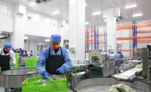 蔬菜配重機(jī)：解決人工成本與效率問題，助力蔬菜加工發(fā)展